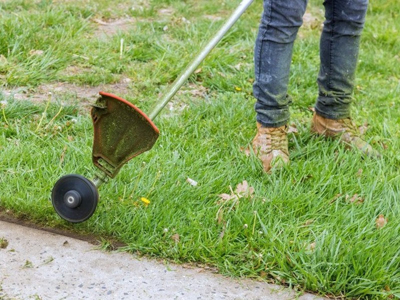bencinske kosilnice na nitko za urejeno manjšo travno površino
